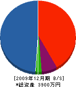 田中博建築 貸借対照表 2009年12月期
