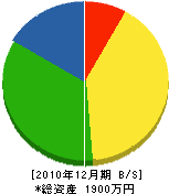 平川電気商会 貸借対照表 2010年12月期