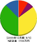 津軽建築塗装店 貸借対照表 2009年12月期