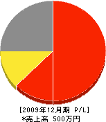 ヨシダ工房 損益計算書 2009年12月期 ヨシダ工房 損益計算書 2009年12月期