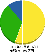津嘉山電水社 貸借対照表 2010年12月期