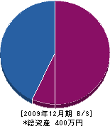 小泉園 貸借対照表 2009年12月期