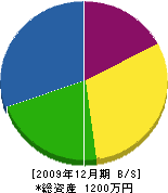 樽角電工 貸借対照表 2009年12月期