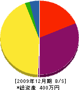 山添工務店 貸借対照表 2009年12月期