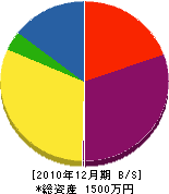 糸原左工房 貸借対照表 2010年12月期