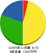 青松園 貸借対照表 2009年12月期