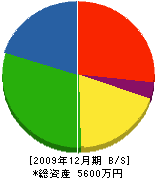 西津設備工業所 貸借対照表 2009年12月期