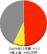 庄﨑工務店 損益計算書 2009年12月期