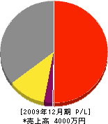 平田水道工業所 損益計算書 2009年12月期