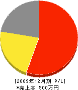 坪内鉄工所 損益計算書 2009年12月期