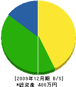 太田工業 貸借対照表 2009年12月期