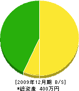 榎木工務店 貸借対照表 2009年12月期