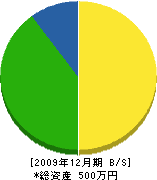 松本電気 貸借対照表 2009年12月期