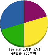 桐島内装 貸借対照表 2010年12月期