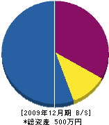関野工務店 貸借対照表 2009年12月期