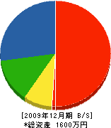 瀬川塗装 貸借対照表 2009年12月期