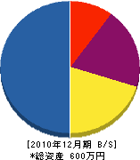 井手長造園 貸借対照表 2010年12月期