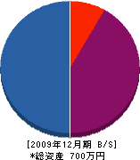 笹野建築 貸借対照表 2009年12月期