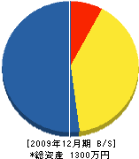 芝田電工 貸借対照表 2009年12月期
