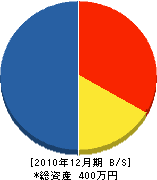 松川工業 貸借対照表 2010年12月期