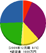 長谷川建商 貸借対照表 2009年12月期