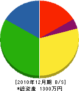 宮崎建設 貸借対照表 2010年12月期