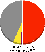 平嶋工務店 損益計算書 2009年12月期