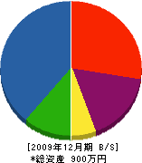 宮沢設備 貸借対照表 2009年12月期