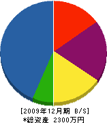 稲永工業 貸借対照表 2009年12月期