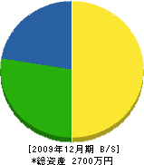 柳沢電気 貸借対照表 2009年12月期