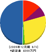 長尾組 貸借対照表 2009年12月期