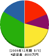上野建設 貸借対照表 2009年12月期
