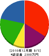 舛田塗装 貸借対照表 2010年12月期