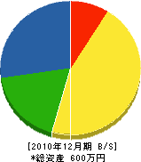 石田電設 貸借対照表 2010年12月期