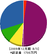 渡辺電気商会 貸借対照表 2009年12月期