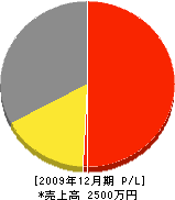 片原電機店 損益計算書 2009年12月期 片原電機店 損益計算書 2009年12月期