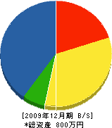 阪本水道店 貸借対照表 2009年12月期