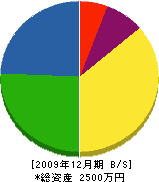 長村工務店 貸借対照表 2009年12月期