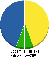 永尾水道工事店 貸借対照表 2009年12月期