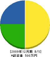 菅根組 貸借対照表 2009年12月期