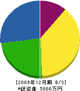 木元組 貸借対照表 2009年12月期