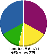 湯川工務店 貸借対照表 2009年12月期