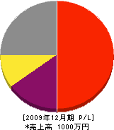 志垣設備 損益計算書 2009年12月期
