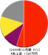 阪口造園 損益計算書 2009年12月期