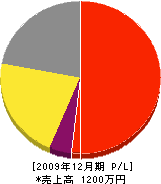 西田組 損益計算書 2009年12月期