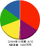 丸岡電機商会 貸借対照表 2009年12月期