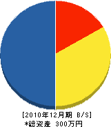 山藤建設 貸借対照表 2010年12月期