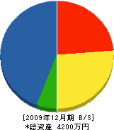 秦組 貸借対照表 2009年12月期