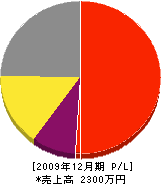 青木建機興業 損益計算書 2009年12月期 青木建機興業 損益計算書 2009年12月期