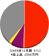 永井建設 損益計算書 2009年12月期